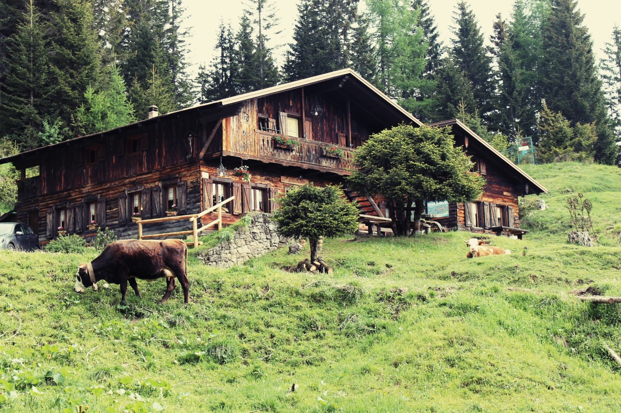 Rifugio FORCELLA ZOVO